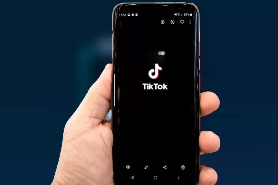 TikTok: como baixar os dados de usuário?