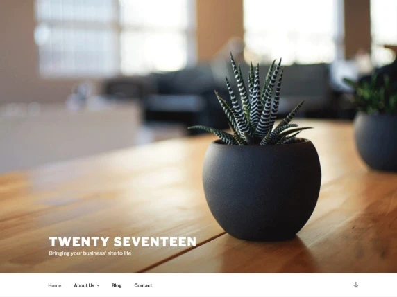 Theme WordPress Twenty Seventeen