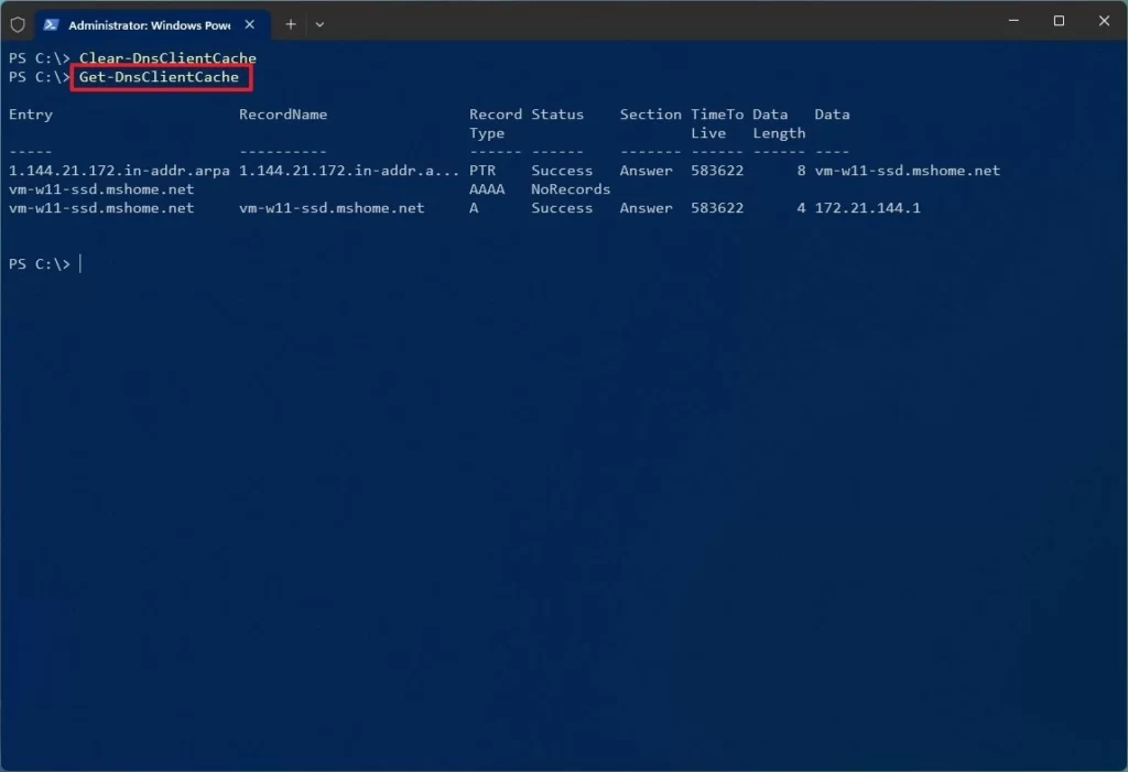 Como liberar o cache DNS no PowerShell do Windows 11?