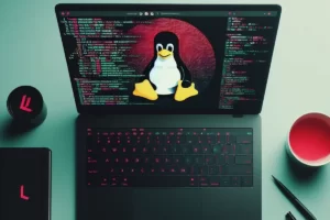 Como instalar Linux ou Ubuntu em um Computador?